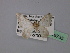  ( - BC ZSM Lep 19735)  @12 [ ] CreativeCommons - Attribution Non-Commercial Share-Alike (2010) Unspecified SNSB, Zoologische Staatssammlung Muenchen
