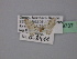  ( - BC ZSM Lep 19737)  @12 [ ] CreativeCommons - Attribution Non-Commercial Share-Alike (2010) Unspecified SNSB, Zoologische Staatssammlung Muenchen