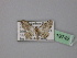  ( - BC ZSM Lep 19742)  @12 [ ] CreativeCommons - Attribution Non-Commercial Share-Alike (2010) Unspecified SNSB, Zoologische Staatssammlung Muenchen
