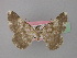  (Gnophos orthogonia - BC ZSM Lep 19756)  @11 [ ] CreativeCommons - Attribution Non-Commercial Share-Alike (2010) Unspecified SNSB, Zoologische Staatssammlung Muenchen