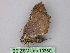  ( - BC ZSM Lep 19760)  @12 [ ] CreativeCommons - Attribution Non-Commercial Share-Alike (2010) Unspecified SNSB, Zoologische Staatssammlung Muenchen