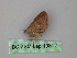  ( - BC ZSM Lep 19812)  @12 [ ] CreativeCommons - Attribution Non-Commercial Share-Alike (2010) Unspecified SNSB, Zoologische Staatssammlung Muenchen