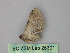  ( - BC ZSM Lep 26301)  @13 [ ] CreativeCommons - Attribution Non-Commercial Share-Alike (2010) Unspecified SNSB, Zoologische Staatssammlung Muenchen