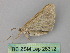  ( - BC ZSM Lep 26312)  @11 [ ] CreativeCommons - Attribution Non-Commercial Share-Alike (2010) Unspecified SNSB, Zoologische Staatssammlung Muenchen
