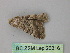  ( - BC ZSM Lep 26316)  @13 [ ] CreativeCommons - Attribution Non-Commercial Share-Alike (2010) Unspecified SNSB, Zoologische Staatssammlung Muenchen