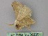  ( - BC ZSM Lep 26339)  @13 [ ] CreativeCommons - Attribution Non-Commercial Share-Alike (2010) Unspecified SNSB, Zoologische Staatssammlung Muenchen