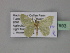  ( - BC ZSM Lep 27693)  @12 [ ] CreativeCommons - Attribution Non-Commercial Share-Alike (2010) Unspecified SNSB, Zoologische Staatssammlung Muenchen