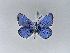  ( - BC ZSM Lep 30495)  @12 [ ] CreativeCommons - Attribution Non-Commercial Share-Alike (2010) Unspecified SNSB, Zoologische Staatssammlung Muenchen