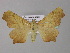  ( - BC ZSM Lep 32294)  @14 [ ] CreativeCommons - Attribution Non-Commercial Share-Alike (2010) Unspecified SNSB, Zoologische Staatssammlung Muenchen