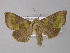  ( - BC ZSM Lep 32304)  @14 [ ] CreativeCommons - Attribution Non-Commercial Share-Alike (2010) Unspecified SNSB, Zoologische Staatssammlung Muenchen