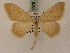  ( - BC PG Lep 0075)  @14 [ ] Copyright (2010) Unspecified Research Collection of Gergely Petranyi