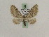  (Eupithecia kunzi - BC PG Lep 0122)  @13 [ ] Copyright (2010) Unspecified Research Collection of Gergely Petranyi