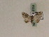  ( - BC PG Lep 0138)  @12 [ ] Copyright (2010) Unspecified Research Collection of Gergely Petranyi