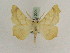  ( - BC PG Lep 0200)  @12 [ ] Copyright (2010) Unspecified Research Collection of Gergely Petranyi