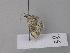  ( - BC ZSM Lep 19615)  @12 [ ] CreativeCommons - Attribution Non-Commercial Share-Alike (2010) Unspecified SNSB, Zoologische Staatssammlung Muenchen