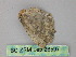  ( - BC ZSM Lep 26597)  @13 [ ] CreativeCommons - Attribution Non-Commercial Share-Alike (2010) Unspecified SNSB, Zoologische Staatssammlung Muenchen