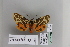  (Preparctia GM01 - BC JM 0008)  @12 [ ] Unspecified (default): All Rights Reserved  Unspecified Unspecified