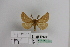  ( - BC JM 0011)  @12 [ ] Unspecified (default): All Rights Reserved  Unspecified Unspecified