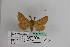  ( - BC JM 0014)  @12 [ ] Unspecified (default): All Rights Reserved  Unspecified Unspecified