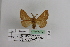  ( - BC JM 0015)  @12 [ ] Unspecified (default): All Rights Reserved  Unspecified Unspecified