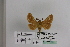  ( - BC JM 0019)  @12 [ ] Unspecified (default): All Rights Reserved  Unspecified Unspecified