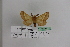  ( - BC JM 0022)  @12 [ ] Unspecified (default): All Rights Reserved  Unspecified Unspecified