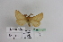  ( - BC JM 0032)  @13 [ ] Unspecified (default): All Rights Reserved  Unspecified Unspecified