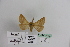 ( - BC JM 0033)  @12 [ ] Unspecified (default): All Rights Reserved  Unspecified Unspecified