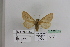  ( - BC JM 0034)  @12 [ ] Unspecified (default): All Rights Reserved  Unspecified Unspecified