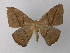  ( - BC ZSM Lep 19884)  @13 [ ] CreativeCommons - Attribution Non-Commercial Share-Alike (2010) Unspecified SNSB, Zoologische Staatssammlung Muenchen