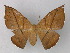  ( - BC ZSM Lep 19891)  @13 [ ] CreativeCommons - Attribution Non-Commercial Share-Alike (2010) Unspecified SNSB, Zoologische Staatssammlung Muenchen