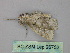  ( - BC ZSM Lep 26752)  @11 [ ] CreativeCommons - Attribution Non-Commercial Share-Alike (2010) Unspecified SNSB, Zoologische Staatssammlung Muenchen