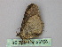  ( - BC ZSM Lep 26758)  @12 [ ] CreativeCommons - Attribution Non-Commercial Share-Alike (2010) Unspecified SNSB, Zoologische Staatssammlung Muenchen