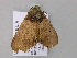  ( - BC ZSM Lep 26767)  @13 [ ] CreativeCommons - Attribution Non-Commercial Share-Alike (2010) Unspecified SNSB, Zoologische Staatssammlung Muenchen