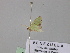  ( - BC ZSM Lep 26775)  @13 [ ] CreativeCommons - Attribution Non-Commercial Share-Alike (2010) Unspecified SNSB, Zoologische Staatssammlung Muenchen