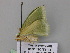  ( - BC ZSM Lep 26780)  @13 [ ] CreativeCommons - Attribution Non-Commercial Share-Alike (2010) Unspecified SNSB, Zoologische Staatssammlung Muenchen