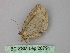  ( - BC ZSM Lep 26791)  @13 [ ] CreativeCommons - Attribution Non-Commercial Share-Alike (2010) Unspecified SNSB, Zoologische Staatssammlung Muenchen