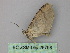  ( - BC ZSM Lep 26798)  @12 [ ] CreativeCommons - Attribution Non-Commercial Share-Alike (2010) Unspecified SNSB, Zoologische Staatssammlung Muenchen