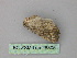  ( - BC ZSM Lep 26805)  @13 [ ] CreativeCommons - Attribution Non-Commercial Share-Alike (2010) Unspecified SNSB, Zoologische Staatssammlung Muenchen
