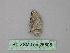  (Eupithecia AH02Cl - BC ZSM Lep 26808)  @12 [ ] CreativeCommons - Attribution Non-Commercial Share-Alike (2010) Unspecified SNSB, Zoologische Staatssammlung Muenchen