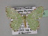  (Comibaena inductaria - BC ZSM Lep 27486)  @14 [ ] CreativeCommons - Attribution Non-Commercial Share-Alike (2010) Unspecified SNSB, Zoologische Staatssammlung Muenchen