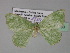  ( - BC ZSM Lep 27700)  @12 [ ] CreativeCommons - Attribution Non-Commercial Share-Alike (2010) Unspecified SNSB, Zoologische Staatssammlung Muenchen