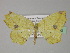  ( - BC ZSM Lep 27733)  @13 [ ] CreativeCommons - Attribution Non-Commercial Share-Alike (2010) Unspecified SNSB, Zoologische Staatssammlung Muenchen