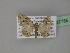  ( - BC ZSM Lep 27755)  @13 [ ] CreativeCommons - Attribution Non-Commercial Share-Alike (2010) Unspecified SNSB, Zoologische Staatssammlung Muenchen
