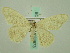  ( - BC ZSM Lep 33873)  @12 [ ] CreativeCommons - Attribution Non-Commercial Share-Alike (2010) Unspecified SNSB, Zoologische Staatssammlung Muenchen