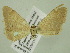 ( - BC ZSM Lep 33894)  @12 [ ] CreativeCommons - Attribution Non-Commercial Share-Alike (2010) Unspecified SNSB, Zoologische Staatssammlung Muenchen