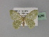  ( - BC ZSM Lep 29258)  @13 [ ] CreativeCommons - Attribution Non-Commercial Share-Alike (2010) Unspecified SNSB, Zoologische Staatssammlung Muenchen