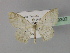  ( - BC ZSM Lep 29302)  @13 [ ] CreativeCommons - Attribution Non-Commercial Share-Alike (2010) Unspecified SNSB, Zoologische Staatssammlung Muenchen