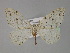  (Loxaspilates AH03Pk - BC ZSM Lep 29486)  @14 [ ] CreativeCommons - Attribution Non-Commercial Share-Alike (2010) Unspecified SNSB, Zoologische Staatssammlung Muenchen