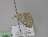  ( - BC ZSM Lep 29671)  @12 [ ] CreativeCommons - Attribution Non-Commercial Share-Alike (2010) Unspecified SNSB, Zoologische Staatssammlung Muenchen